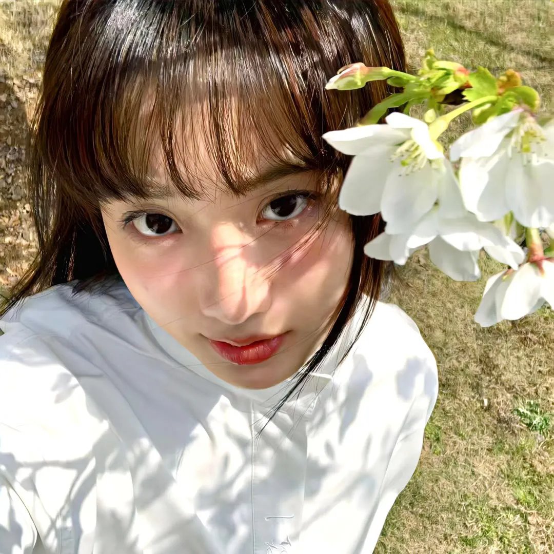 象牙山的好人们